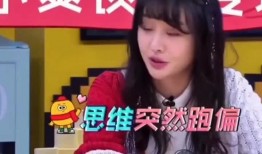 脑回路娱乐爆料,揭秘娱乐圈幕后故事