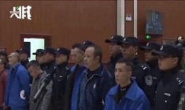 在线观看判决,揭秘网络视听内容监管新篇章